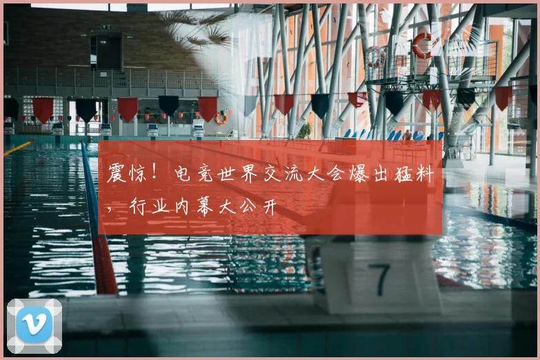 震惊！电竞世界交流大会爆出猛料，行业内幕大公开
