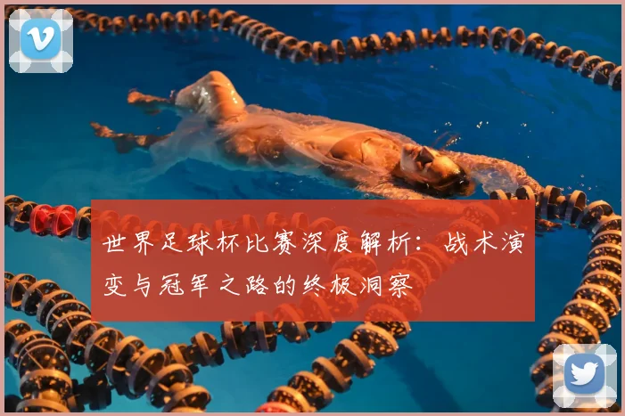 世界足球杯比赛深度解析:战术演变与冠军之路的终极洞察